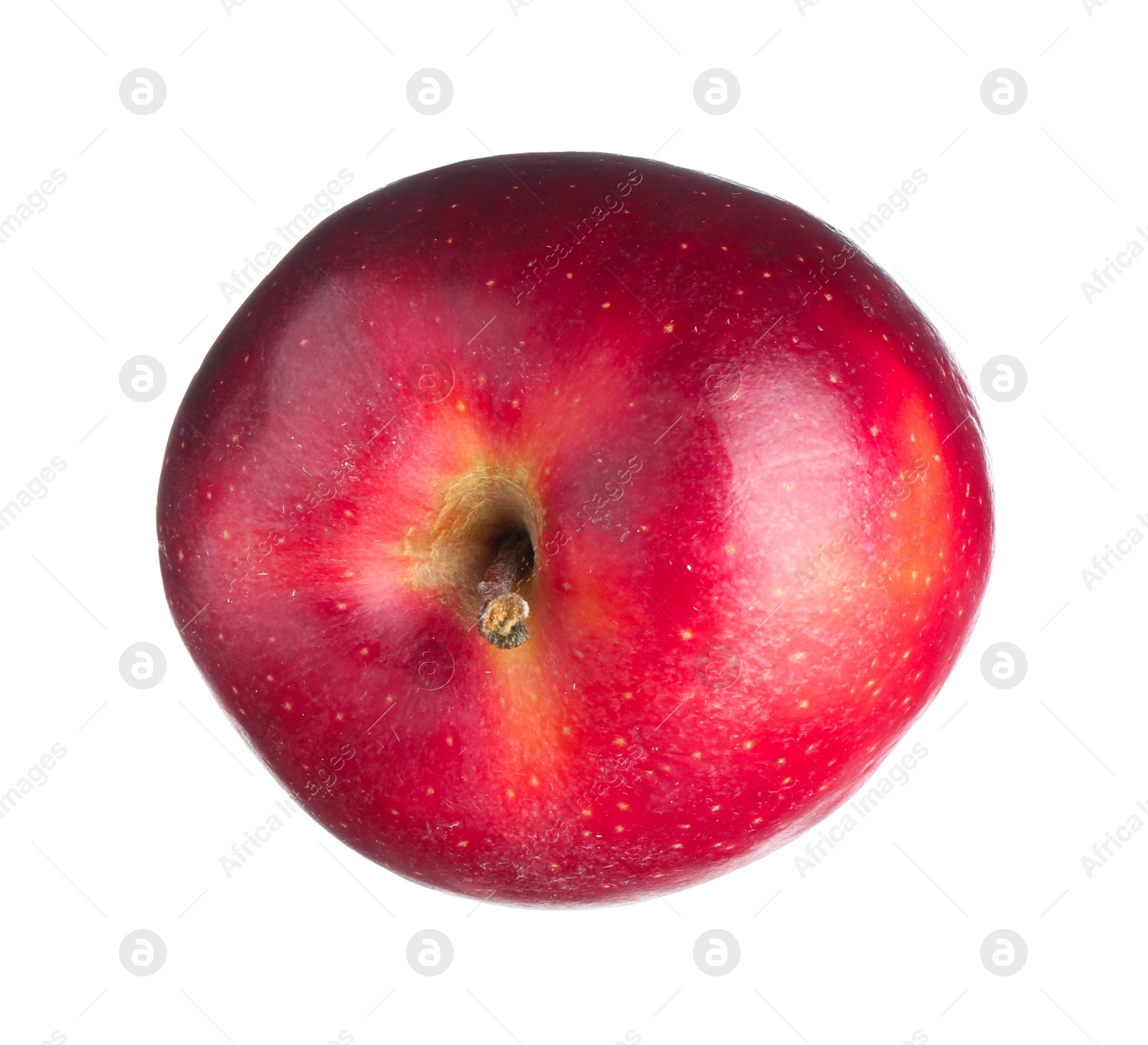 Photo of One fresh red apple isolated on white