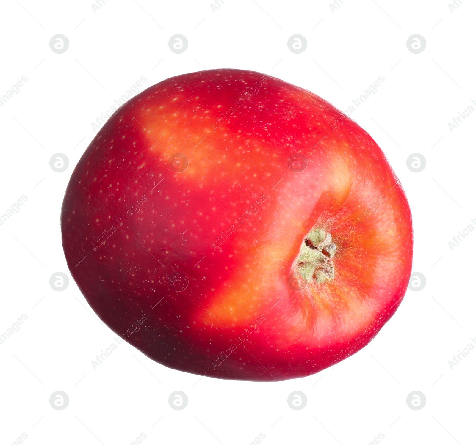 Photo of One fresh red apple isolated on white