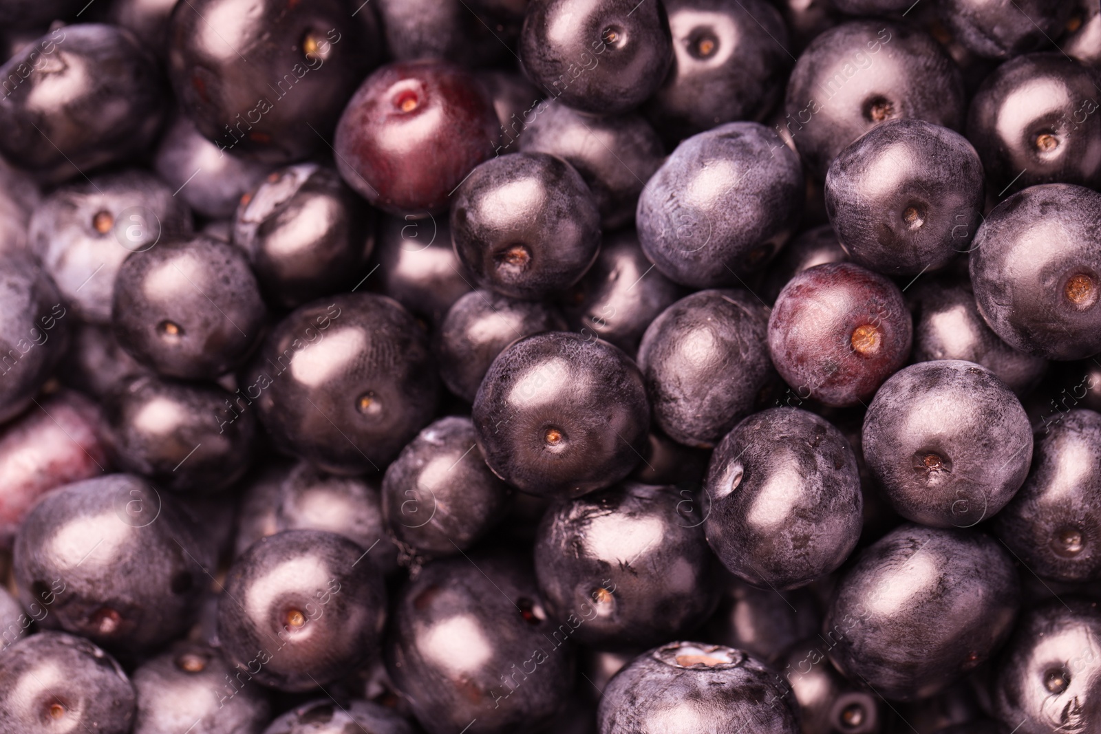 Photo of Ripe acai berries as background, closeup view