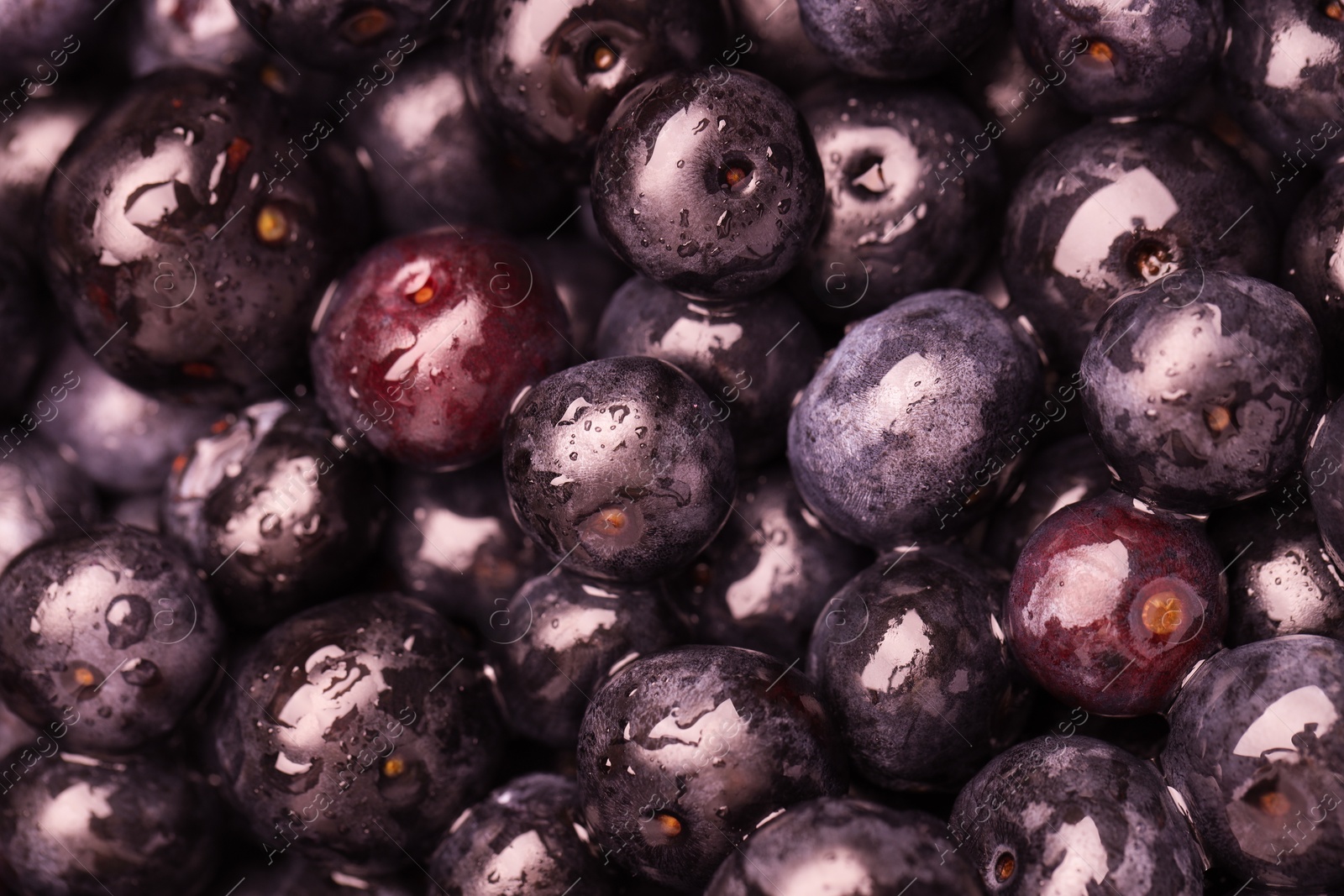 Photo of Wet acai berries as background, top view