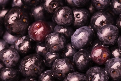 Photo of Wet acai berries as background, top view