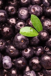 Photo of Wet acai berries and leaves as background, top view