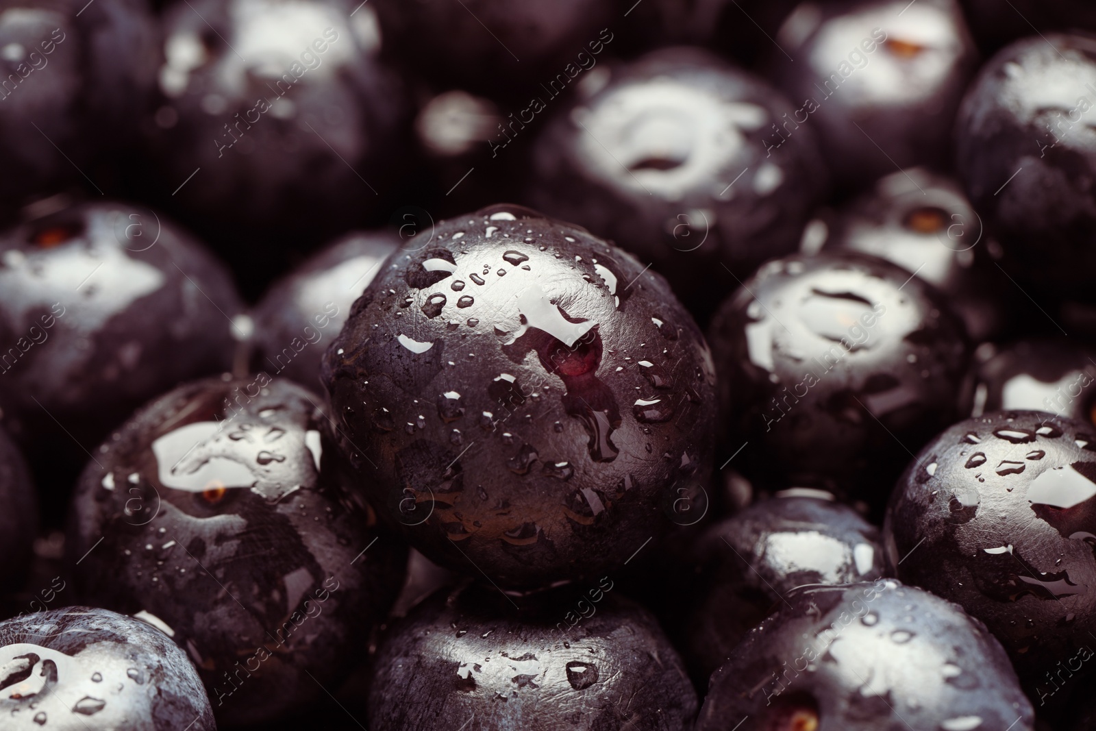 Photo of Wet acai berries as background, closeup view