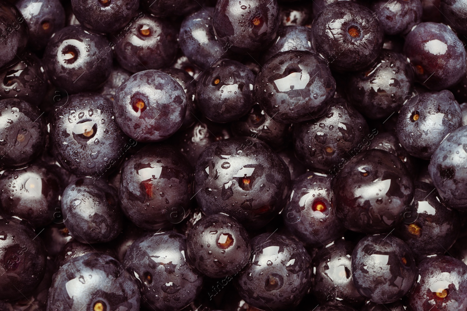 Photo of Wet acai berries as background, top view