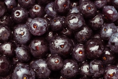 Photo of Wet acai berries as background, top view