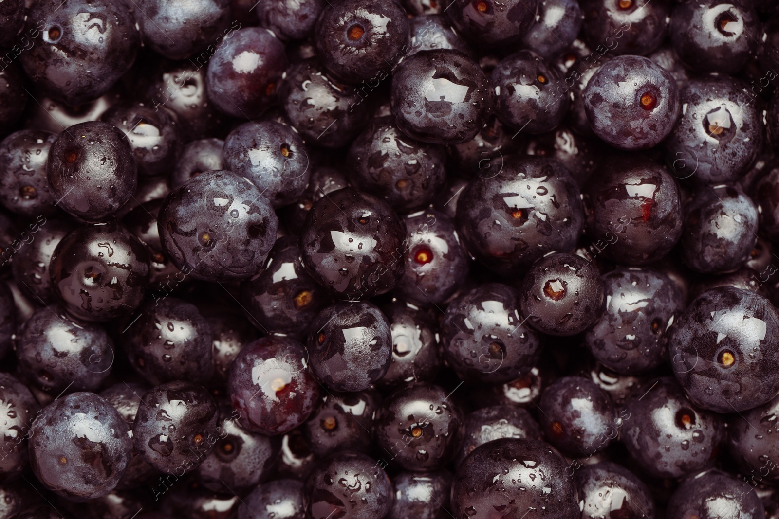 Photo of Wet acai berries as background, top view