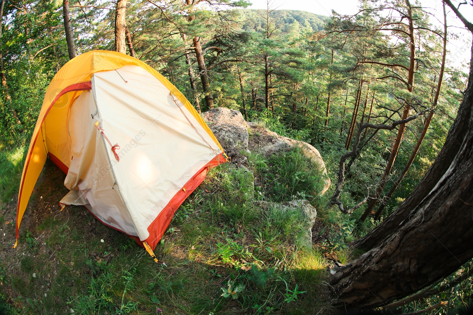 Photo of Modern camping tent in forest at summer, space for text. Fisheye lens effect