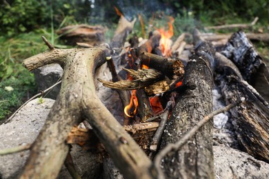 Photo of Campfire with burning firewood in forest, closeup