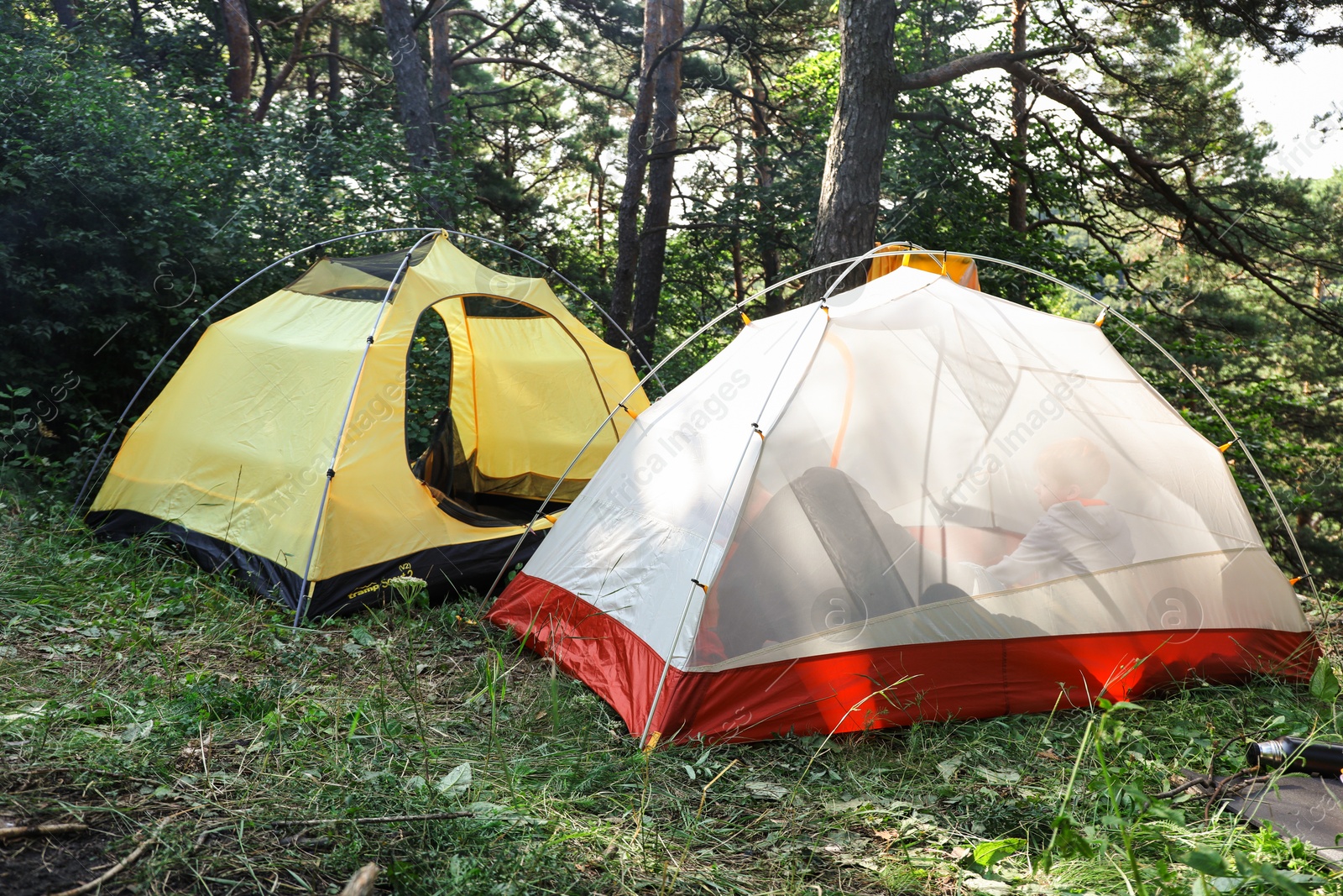 Photo of Modern camping tents in forest on sunny day