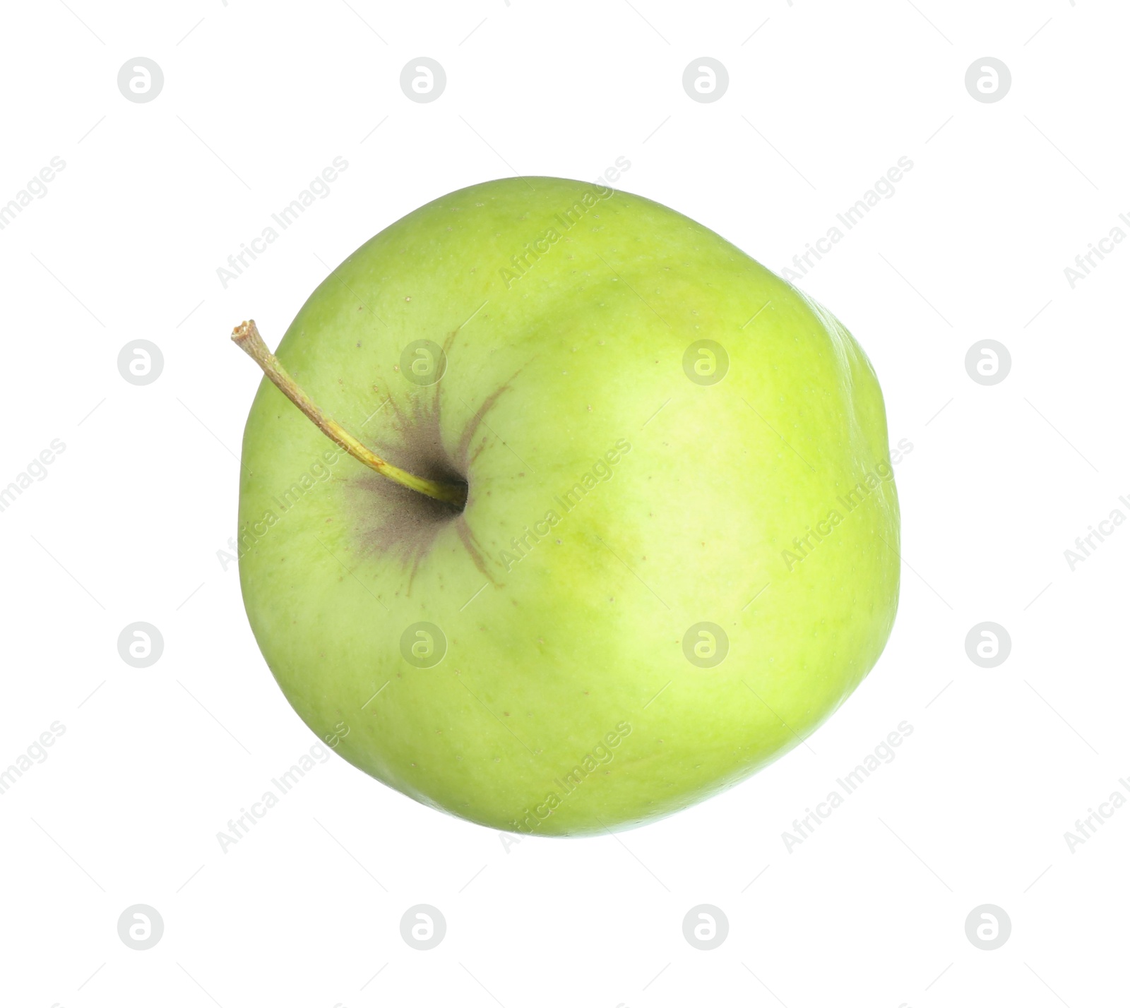 Photo of One fresh green apple isolated on white