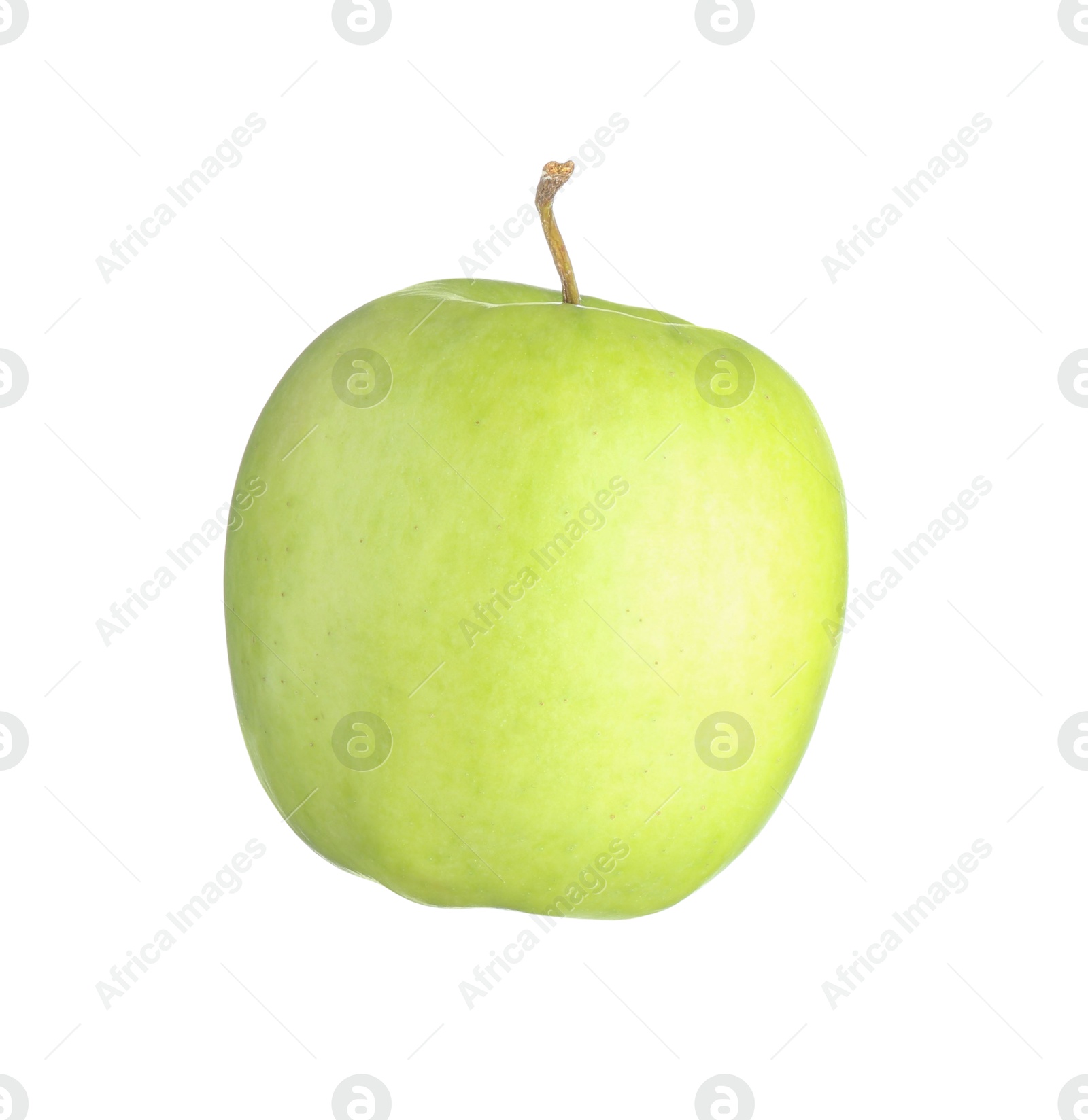 Photo of One fresh green apple isolated on white