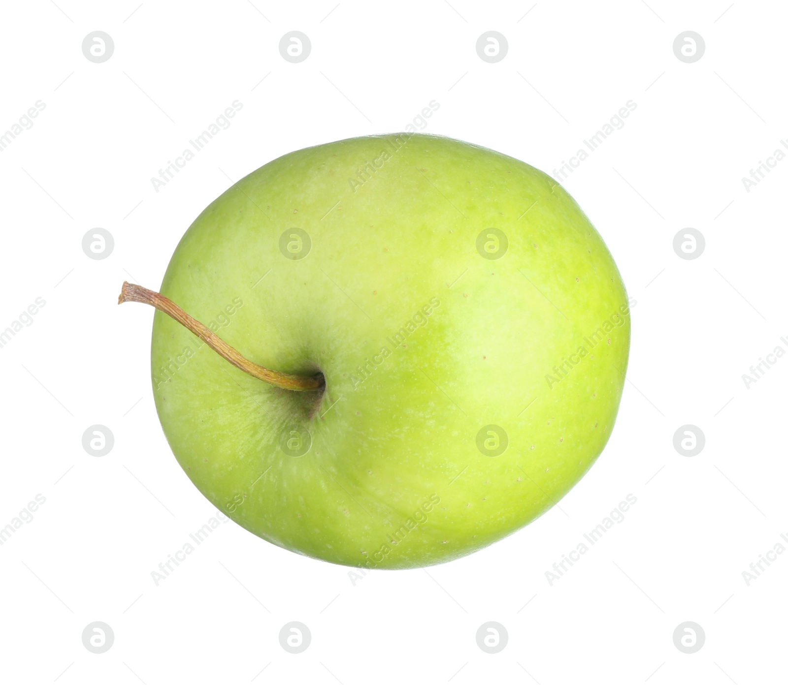 Photo of One fresh green apple isolated on white