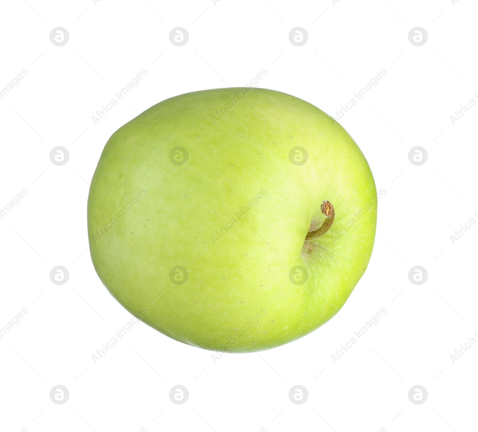 Photo of One fresh green apple isolated on white