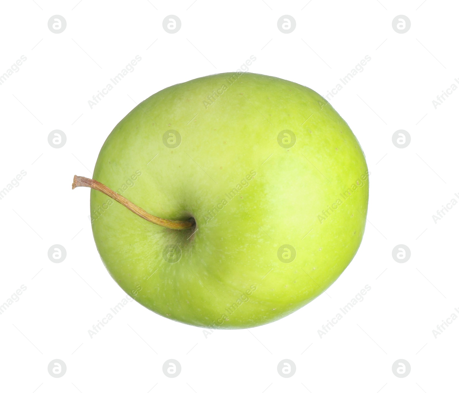 Photo of One fresh green apple isolated on white