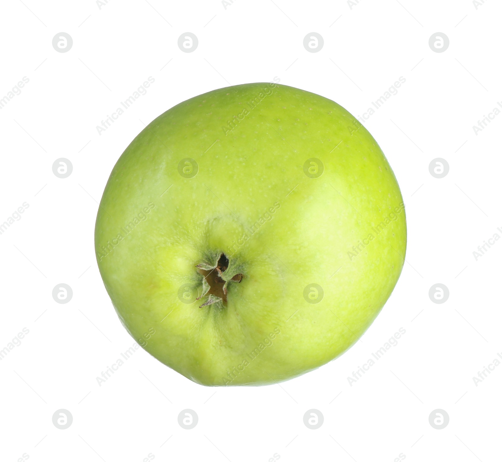 Photo of One fresh green apple isolated on white