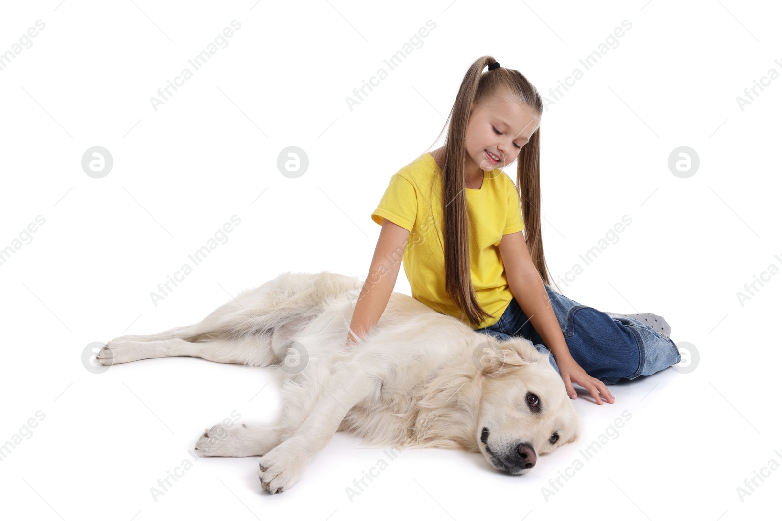 Photo of Girl with her cute Golden Retriever dog on white background