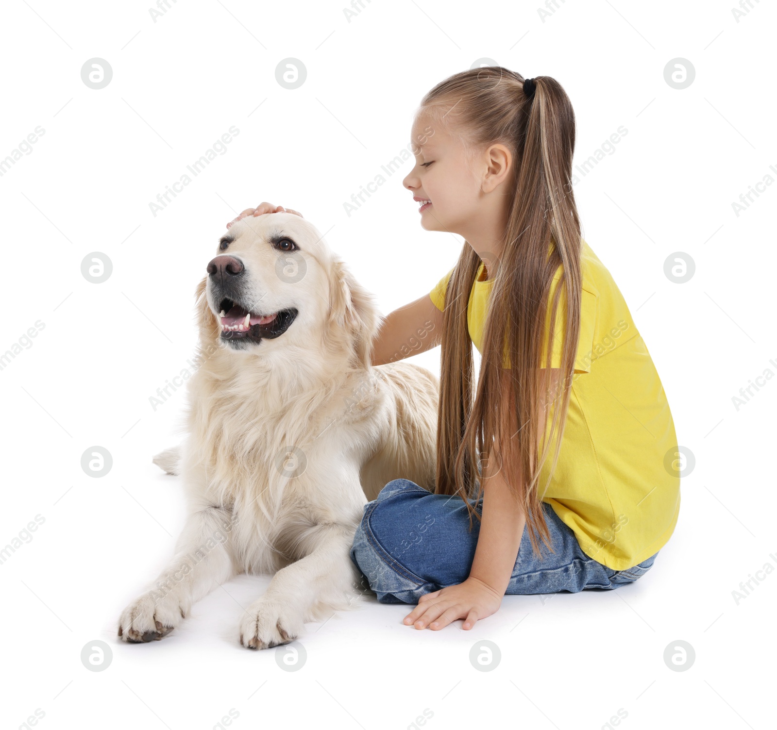 Photo of Girl with her cute Golden Retriever dog on white background