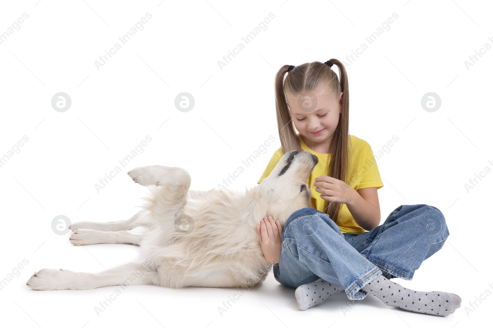 Photo of Girl with her cute Golden Retriever dog on white background