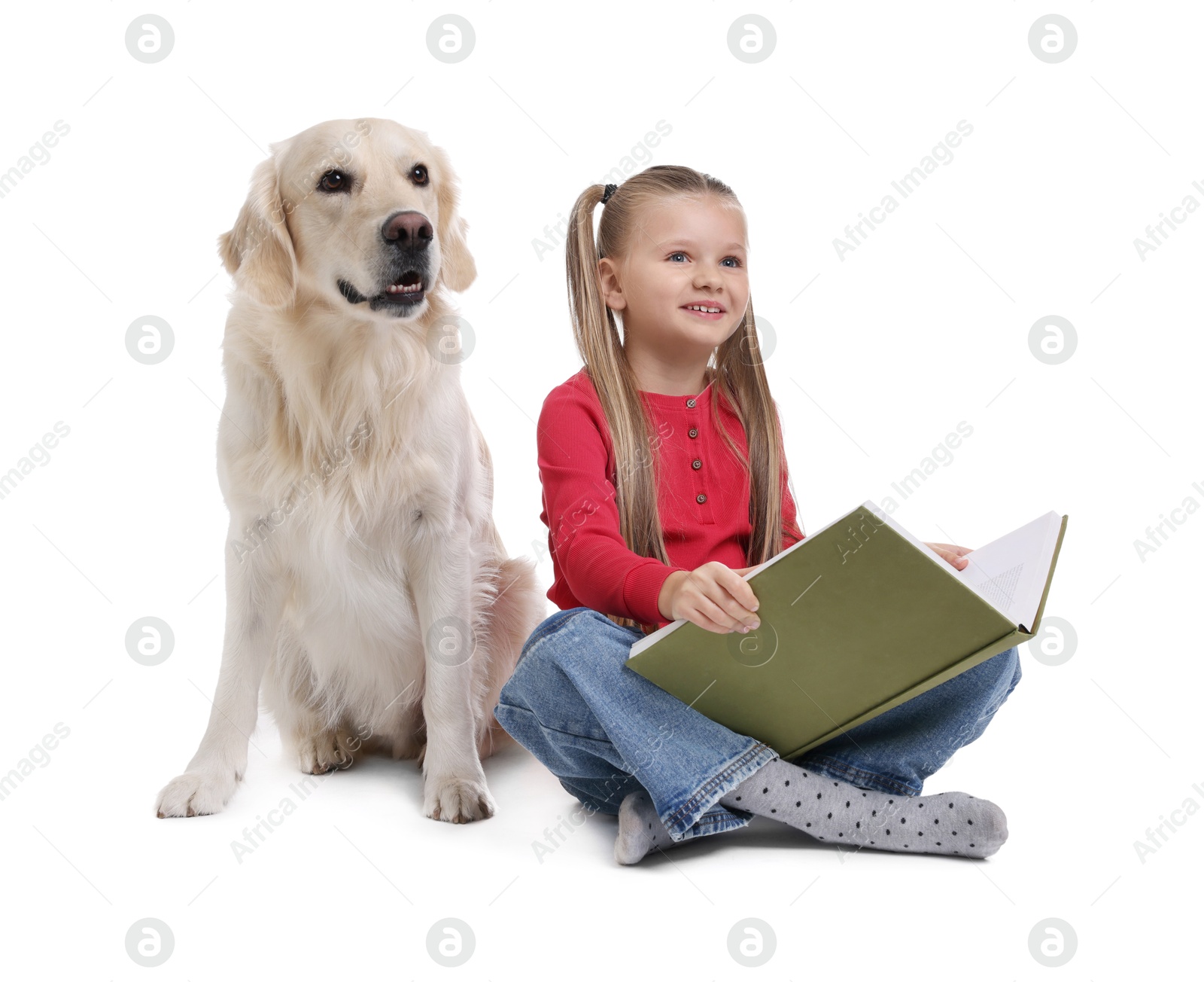 Photo of Girl with book and her cute Golden Retriever dog on white background