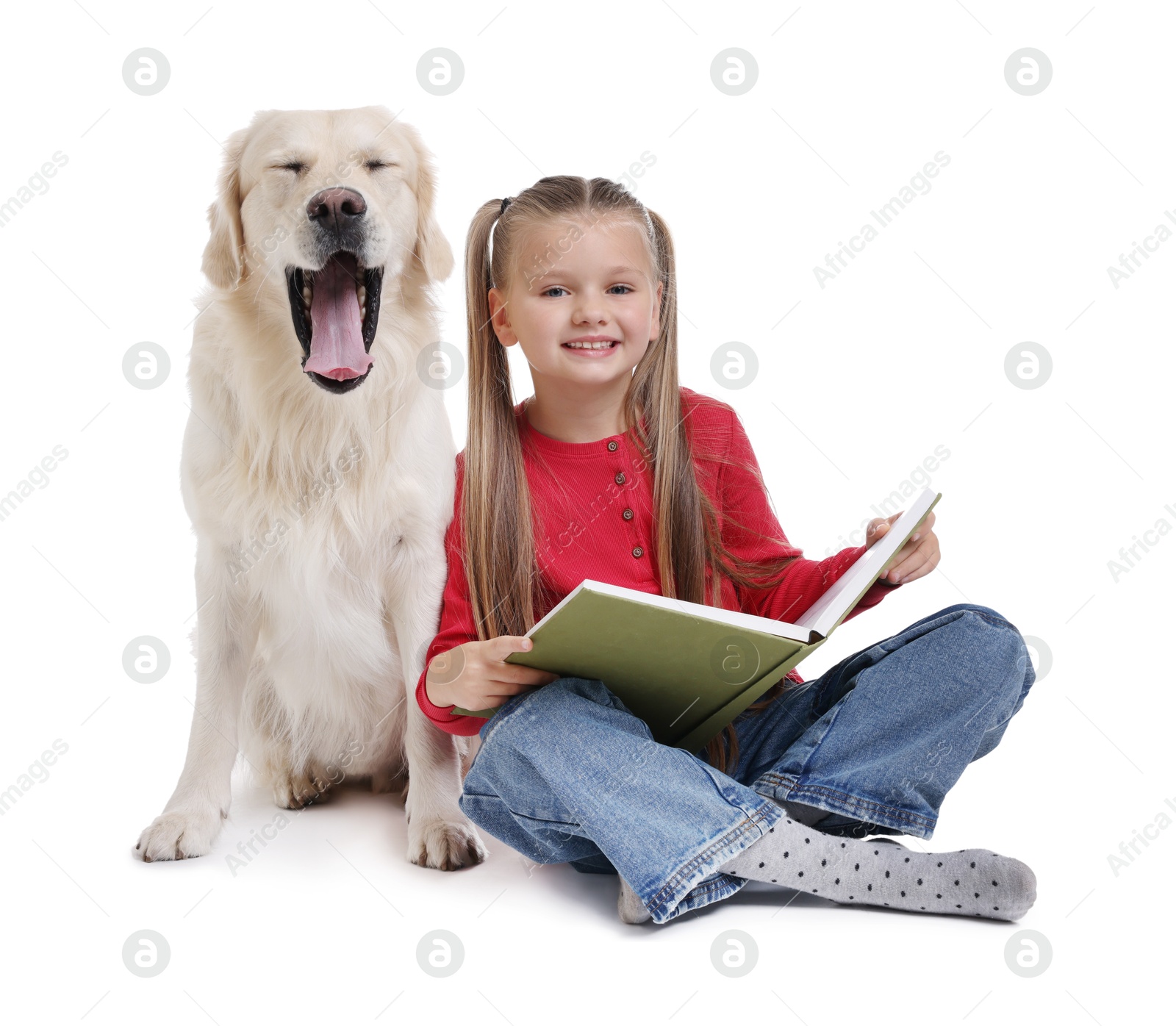 Photo of Girl with book and her cute Golden Retriever dog on white background