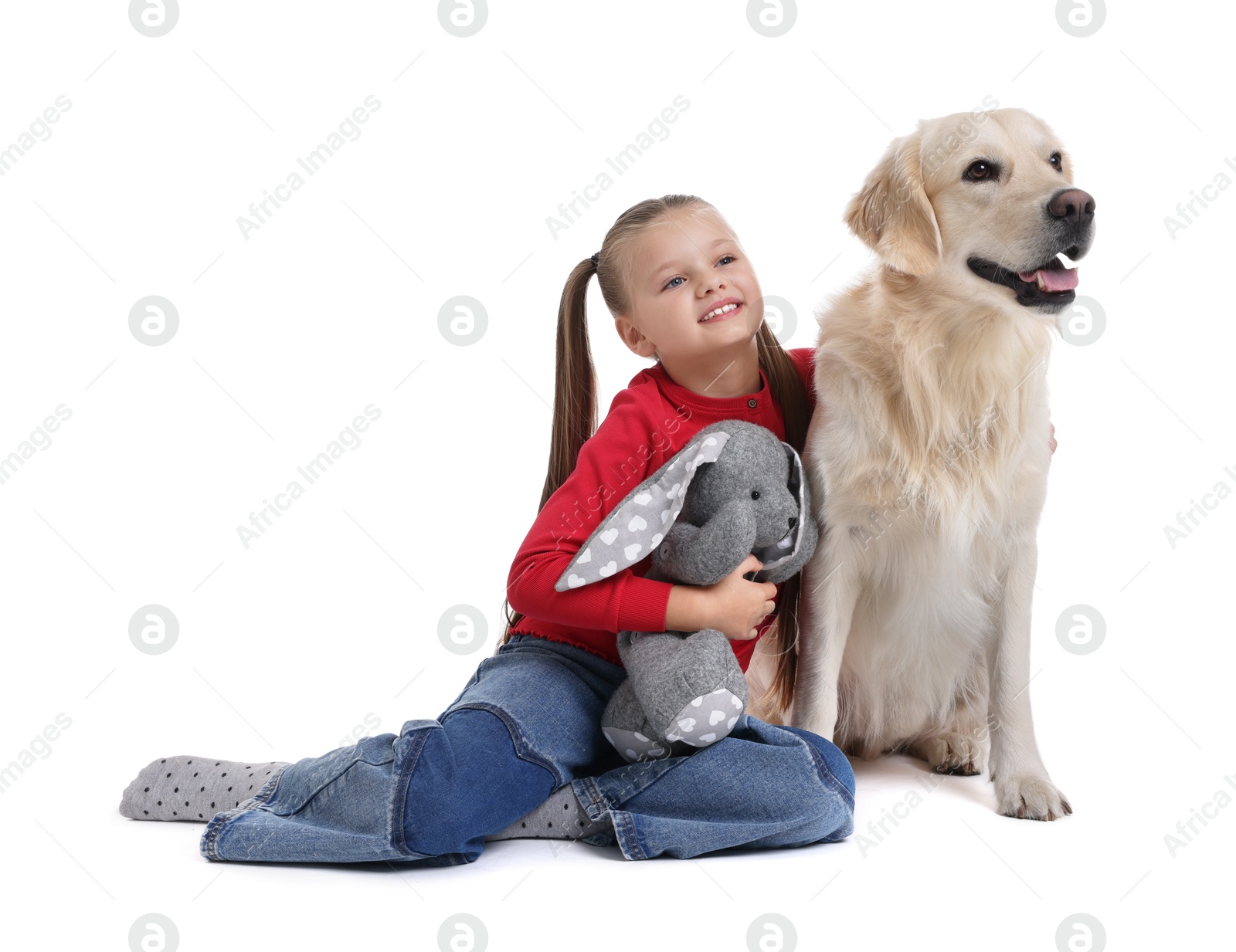 Photo of Girl with toy bunny and her cute Golden Retriever dog on white background