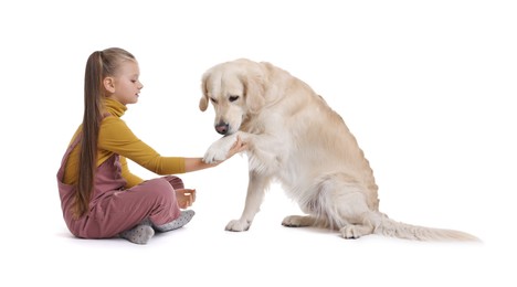 Girl with her cute Golden Retriever dog on white background