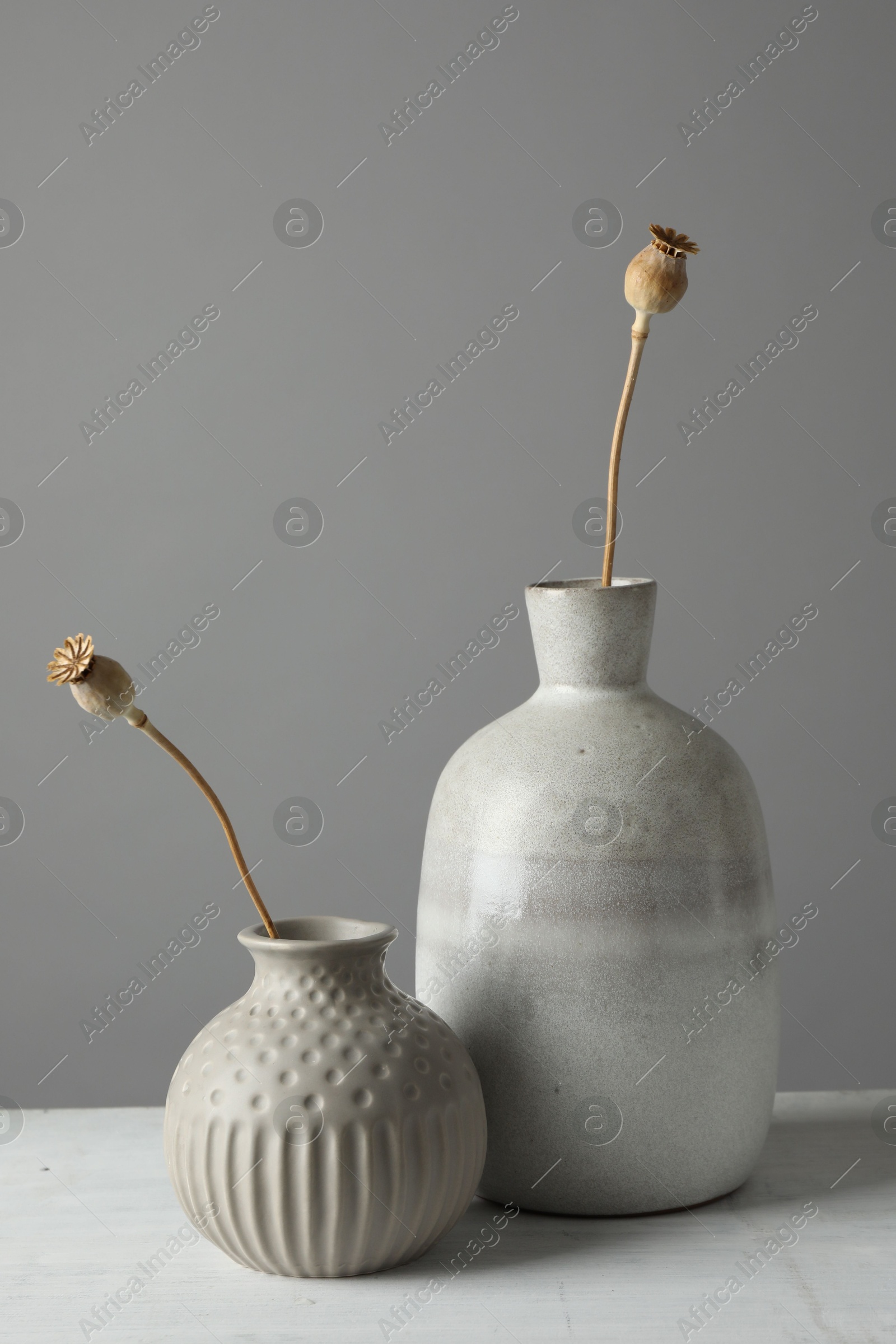 Photo of Stylish vases with dry poppy heads on white table