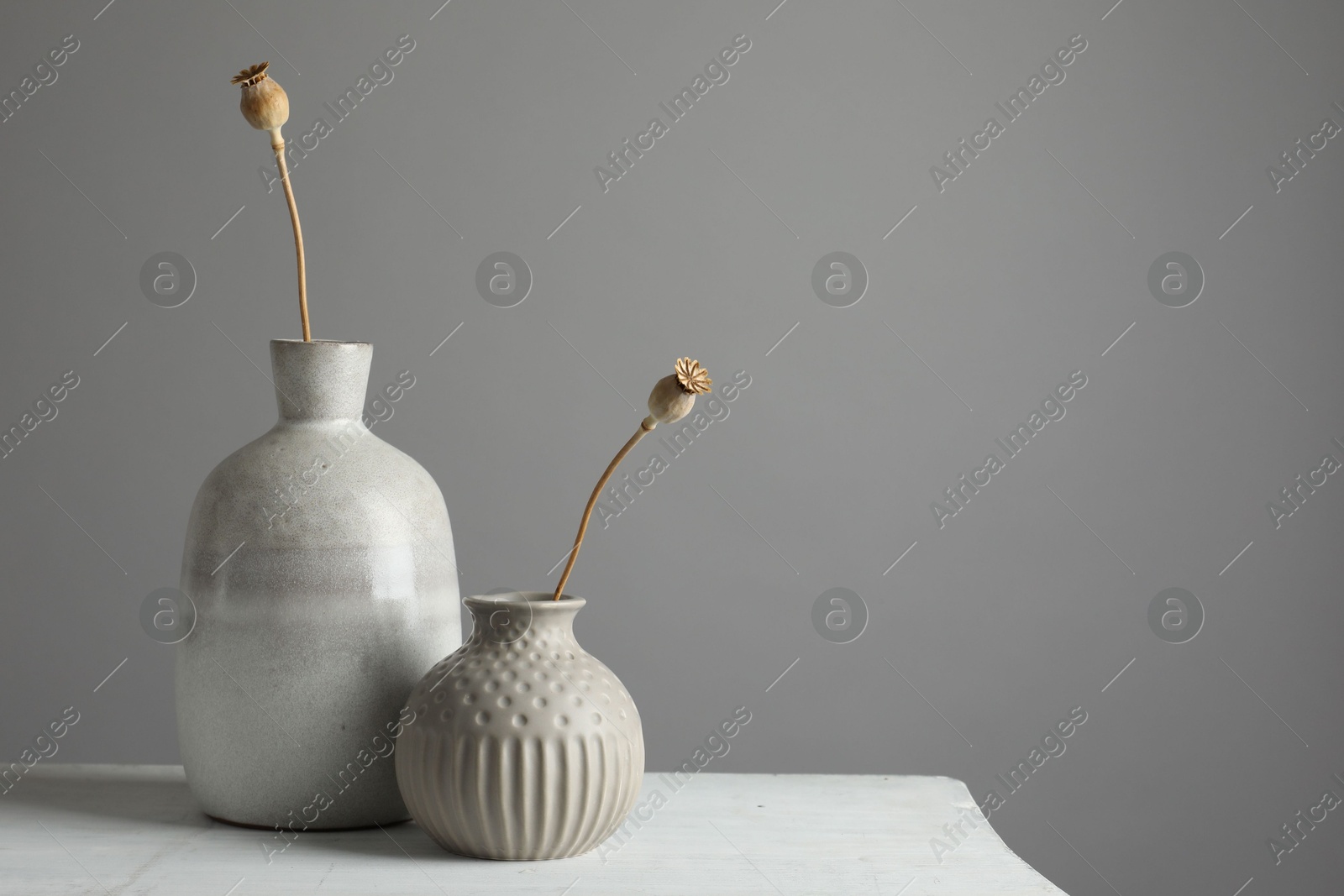 Photo of Stylish vases with dry poppy heads on white table. Space for text