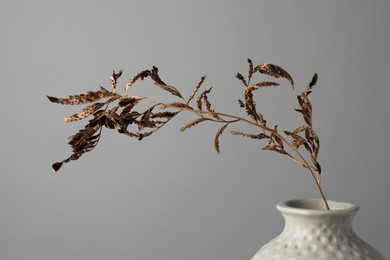 Photo of Stylish vase with dry branch on grey background, closeup