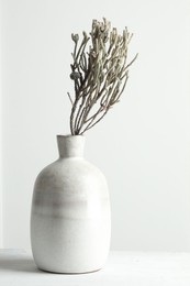 Stylish vase with brunia plants on white table