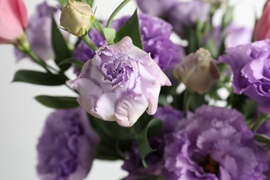 Beautiful eustoma flowers on blurred background, closeup