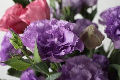 Beautiful eustoma flowers on blurred background, closeup