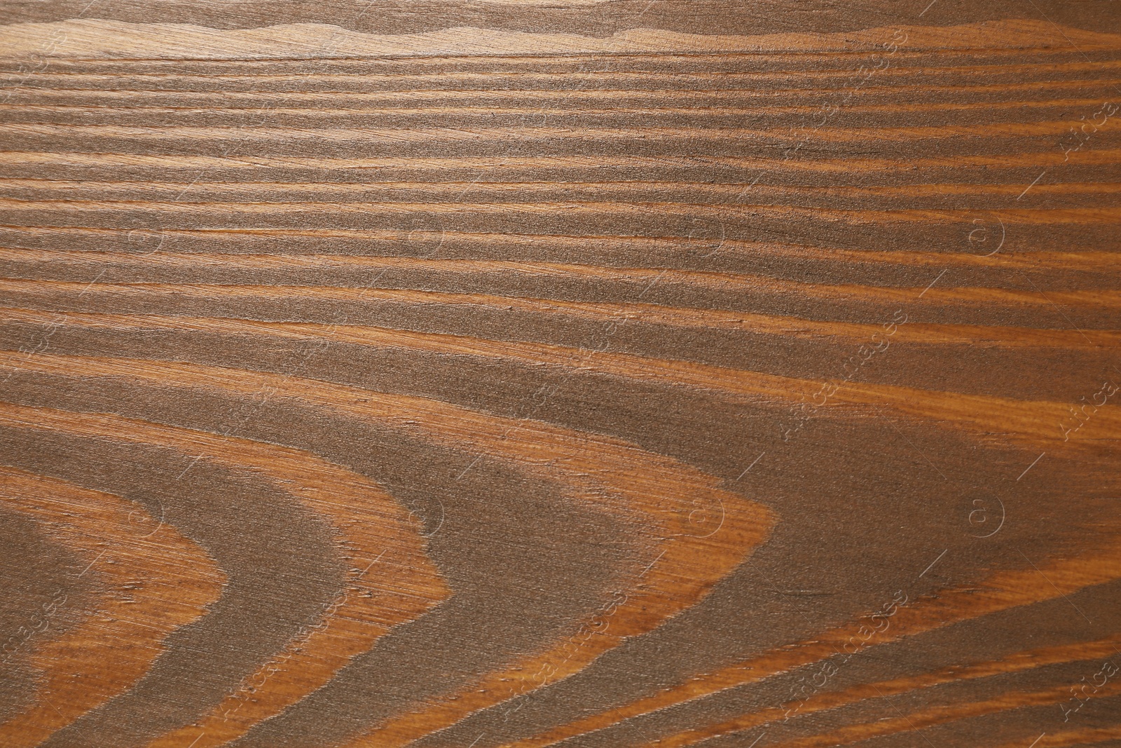 Photo of Applying walnut wood stain. Texture of wooden surface as background, top view