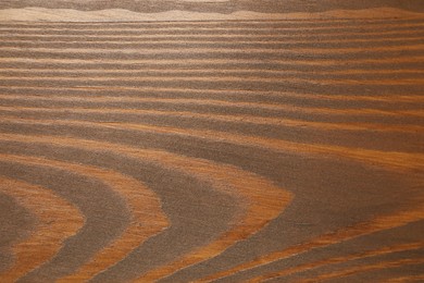 Photo of Applying walnut wood stain. Texture of wooden surface as background, top view