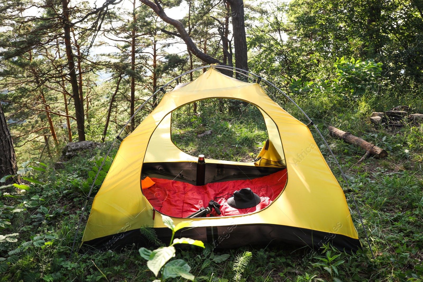 Photo of Modern camping tent in forest at summer