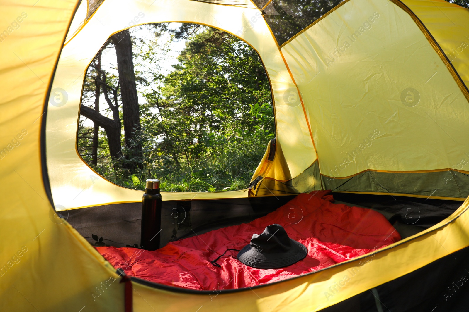 Photo of Modern camping tent in forest at summer, low angle view