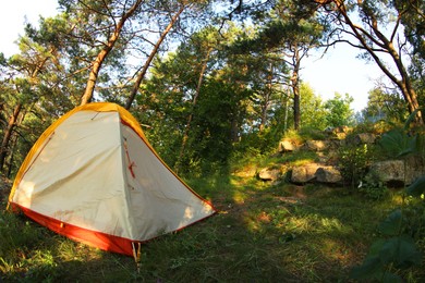 Photo of Modern camping tent in forest at summer, space for text. Fisheye lens effect