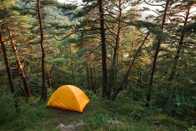 Photo of Modern camping tent in forest at summer, space for text