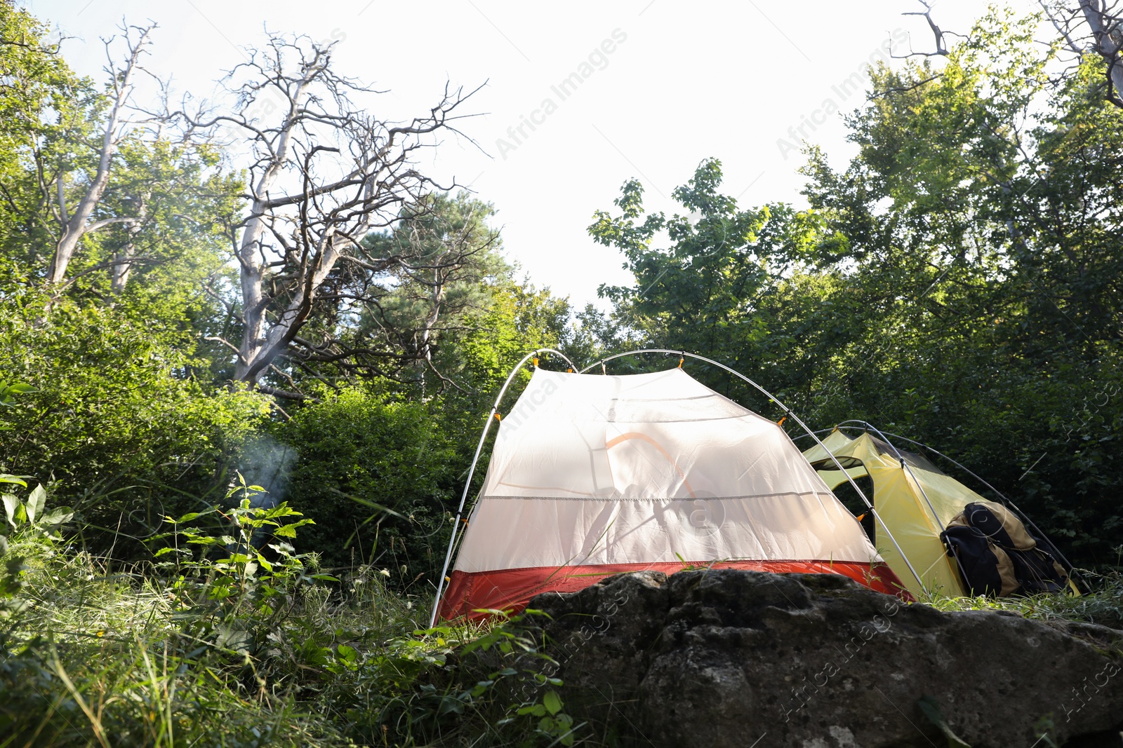 Photo of Modern camping tents, backpack and bottle in forest