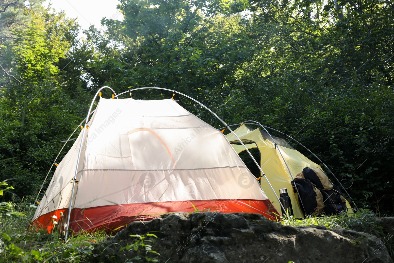 Photo of Modern camping tents, backpack and bottle in forest