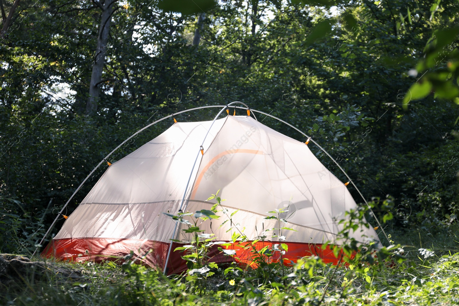 Photo of Modern camping tent in forest on sunny day