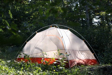 Photo of Modern camping tent in forest on sunny day