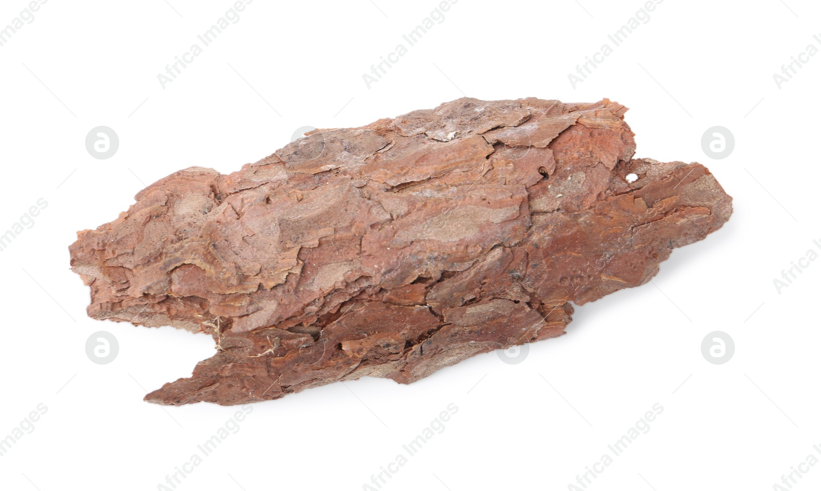 Photo of One piece of tree bark on white background, top view