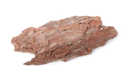 Photo of One piece of tree bark on white background, top view