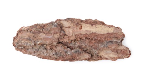 Photo of One piece of tree bark on white background, top view