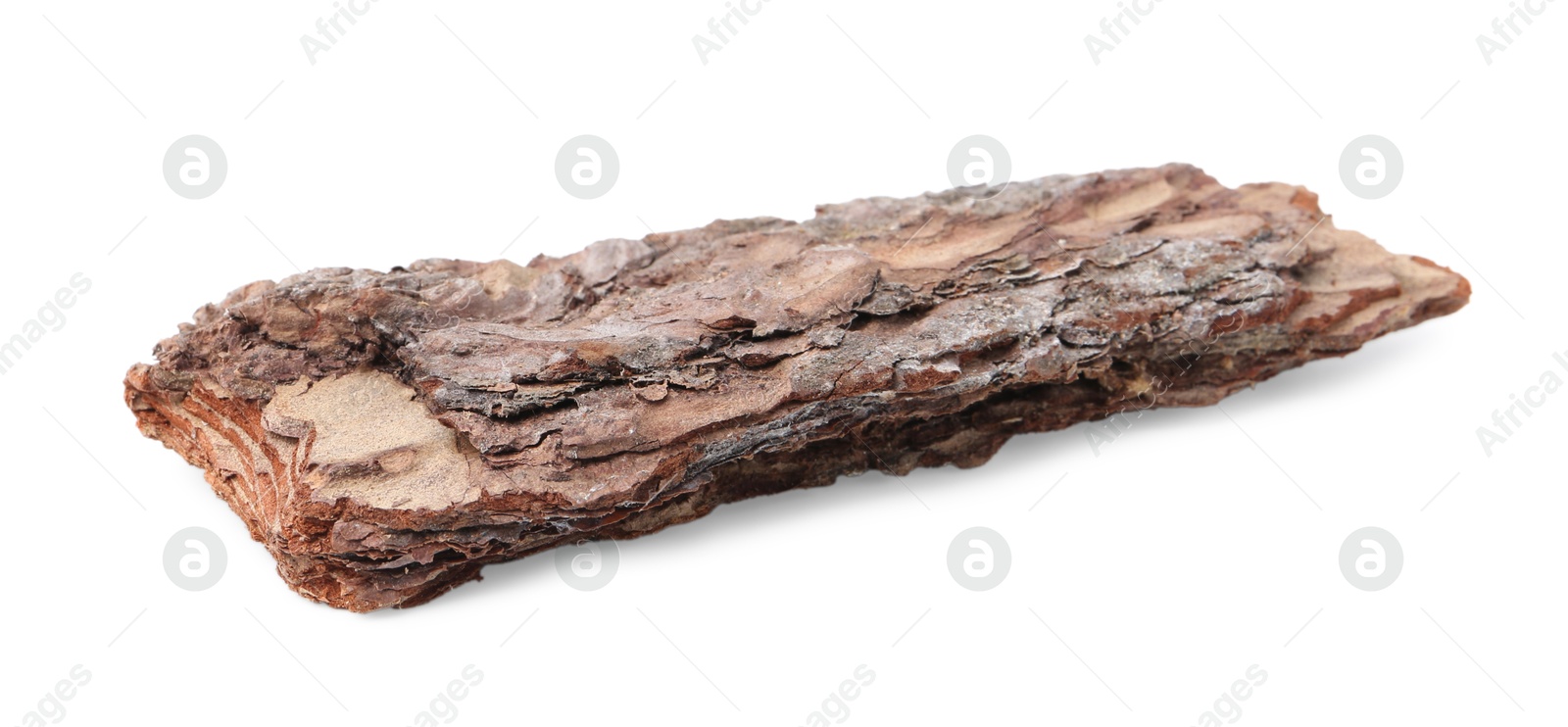 One piece of tree bark on white background Photo of One piece of tree bark on white background