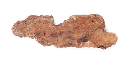 Photo of One piece of tree bark on white background, top view