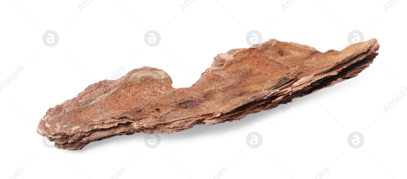 One piece of tree bark on white background Photo of One piece of tree bark on white background