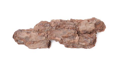 Photo of One piece of tree bark on white background, top view