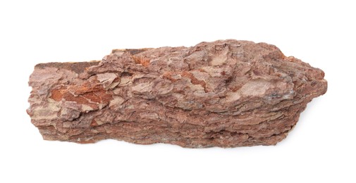 Photo of One piece of tree bark on white background, top view